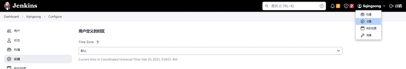 Jenkins 时区设置项